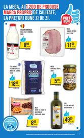 Catalog Mega Image săptămâna 34 Pagină 7