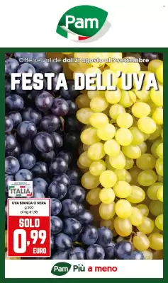 Volantino Pam (valido fino al 3-09)
