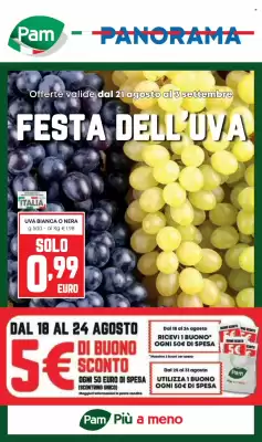 Volantino Panorama (valido fino al 3-09)