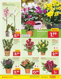 Netto Marken-Discount Prospekt woche 35 Seite 5