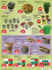 V Markt Prospekt woche 35 Seite 13
