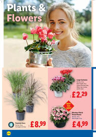 Lidl leaflet week 35 Page 20