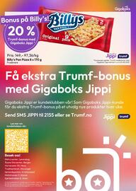 Gigaboks kundeavis Side 8