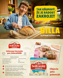 Billa leták Strana 43