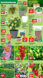 Thomas Philipps Flugblatt woche 35 Seite 2