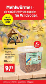Thomas Philipps Flugblatt woche 35 Seite 4
