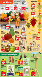 Thomas Philipps Flugblatt woche 35 Seite 6