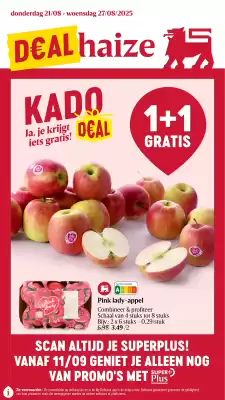 AD Delhaize folder (geldig t/m 27-08)