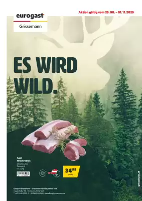 Eurogast Grissemann Flugblatt