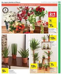 Catalogue Carrefour Drive page 23