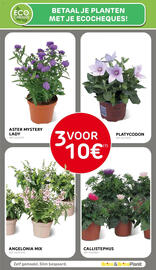 BricoPlanit folder Pagina 53