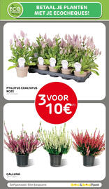 BricoPlanit folder Pagina 54