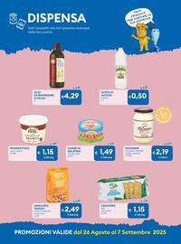 Volantino MD Discount Pagina 17