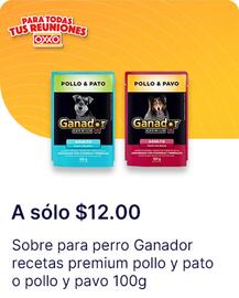 Catálogo OXXO Página 27