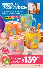 Catálogo Fuller Página 43