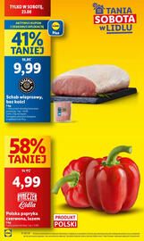 Lidl gazetka Strona 1