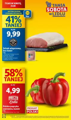 Lidl gazetka (ważność do 23-08)