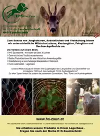 Lagerhaus Flugblatt Seite 11