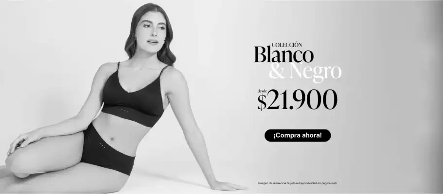 Catálogo Lili Pink (válido hasta 27-08)