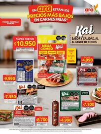 Catálogo Ara semana 34 Página 4