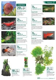 Catalogue Botanic page 7