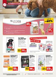Catalogue Animalis page 4