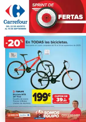 Folleto Carrefour