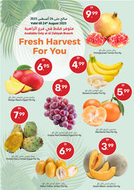 Grand Emirates Market catalogue Page 1