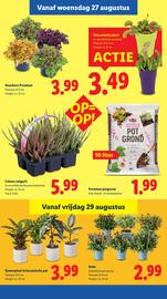Lidl folder week 35 Pagina 19