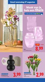 Lidl folder week 35 Pagina 29
