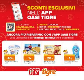 Volantino Tigre Pagina 22