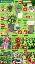 Thomas Philipps Prospekt woche 35 Seite 2