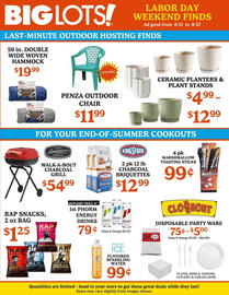 Big Lots Weekly Ad week 34 Page 1
