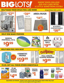 Big Lots Weekly Ad week 34 Page 2