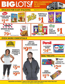 Big Lots Weekly Ad week 34 Page 3
