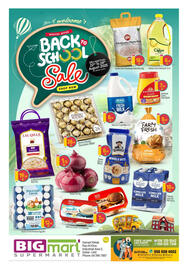Bigmart catalogue Page 1