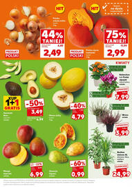 Kaufland gazetka Strona 9