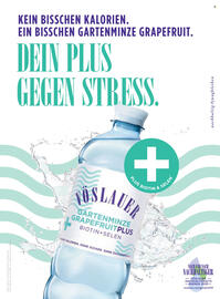 Billa Flugblatt Seite 136