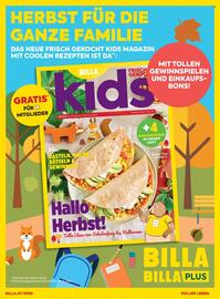 Billa Flugblatt Seite 14