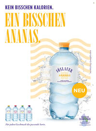 Billa Flugblatt Seite 144
