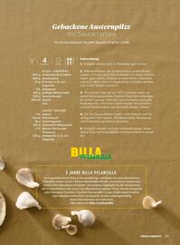 Billa Flugblatt Seite 153