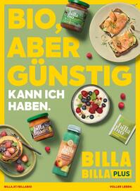 Billa Flugblatt Seite 166