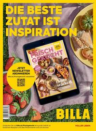 Billa Flugblatt Seite 168