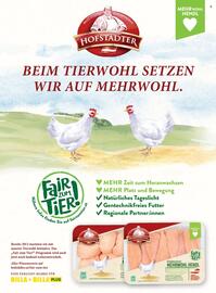 Billa Flugblatt Seite 50