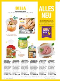 Billa Flugblatt Seite 8
