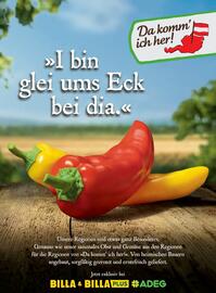 Billa Flugblatt Seite 82