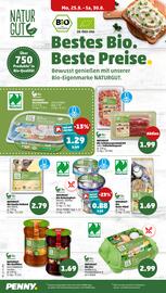 PENNY Prospekt woche 35 Seite 8