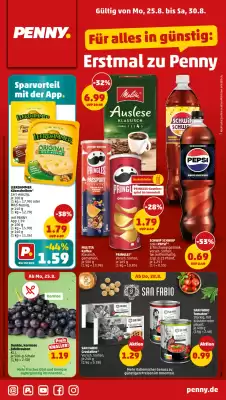 PENNY Prospekt (gültig bis 30-08)