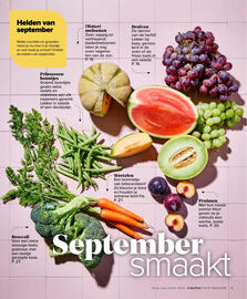 Carrefour folder Pagina 13