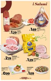 Volantino Ipercoop Radenza Pagina 17